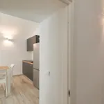 Apartment N8 - Accogliente Nel Centro Perugia